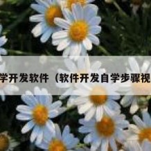 自学开发软件（软件开发自学步骤视频）