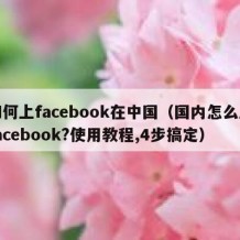 如何上facebook在中国（国内怎么上facebook?使用教程,4步搞定）