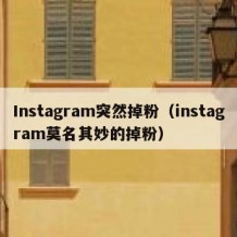 Instagram突然掉粉（instagram莫名其妙的掉粉）