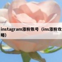 instagram涨粉账号（ins涨粉攻略）