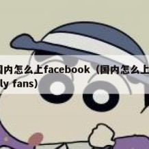 国内怎么上facebook（国内怎么上only fans）