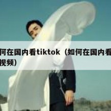 如何在国内看tiktok（如何在国内看外国视频）