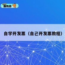 自学开发票（自己开发票教程）