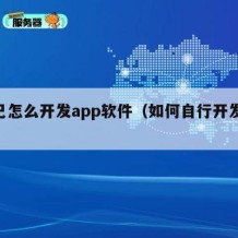 自己怎么开发app软件（如何自行开发app）