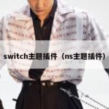 switch主题插件（ns主题插件）