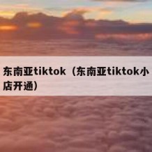 东南亚tiktok（东南亚tiktok小店开通）