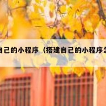 搭建自己的小程序（搭建自己的小程序怎么弄）