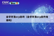 自学开发erp软件（自学开发erp软件有用吗）