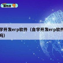 自学开发erp软件（自学开发erp软件有用吗）