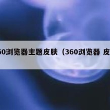 360浏览器主题皮肤（360浏览器 皮肤）