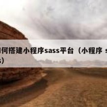 如何搭建小程序sass平台（小程序 scss）