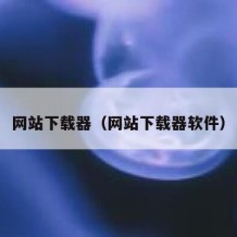 网站下载器（网站下载器软件）