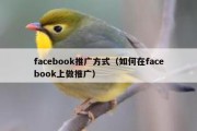 facebook推广方式（如何在facebook上做推广）