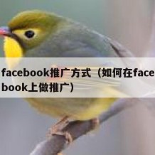 facebook推广方式（如何在facebook上做推广）