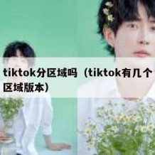 tiktok分区域吗（tiktok有几个区域版本）