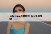 instagram批量吸粉（ins批量关注）