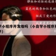 小自学小程序开发难吗（小自学小程序开发难吗知乎）