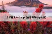 自学开发一个app（自己开发app软件）