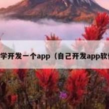 自学开发一个app（自己开发app软件）