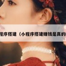 小程序搭建（小程序搭建赚钱是真的吗）