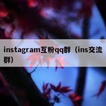 instagram互粉qq群（ins交流群）