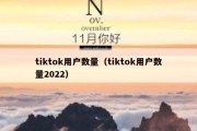 tiktok用户数量（tiktok用户数量2022）