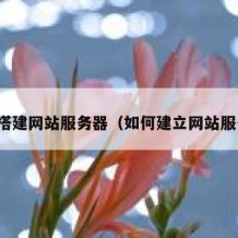 如何搭建网站服务器（如何建立网站服务器）