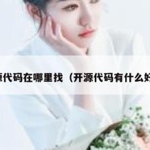 开源代码在哪里找（开源代码有什么好处）