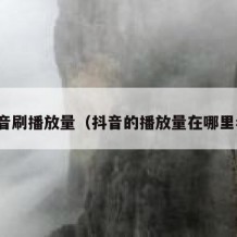 抖音刷播放量（抖音的播放量在哪里看）