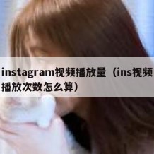 instagram视频播放量（ins视频播放次数怎么算）