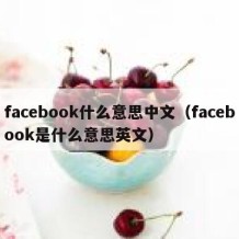 facebook什么意思中文（facebook是什么意思英文）