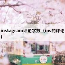 instagram评论字数（ins的评论）