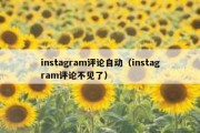 instagram评论自动（instagram评论不见了）