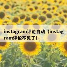 instagram评论自动（instagram评论不见了）