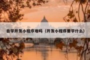 自学开发小程序难吗（开发小程序要学什么）