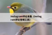 instagram评论采集（instagram评论管理工具）