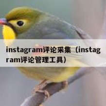 instagram评论采集（instagram评论管理工具）