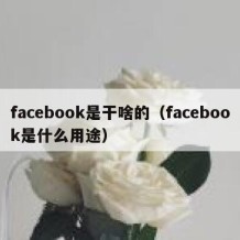 facebook是干啥的（facebook是什么用途）