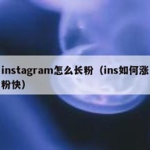 instagram怎么长粉（ins如何涨粉快）