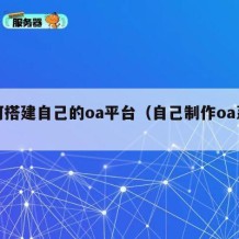 如何搭建自己的oa平台（自己制作oa系统）