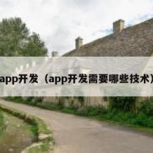 app开发（app开发需要哪些技术）