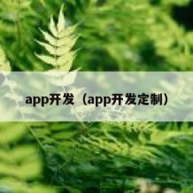 app开发（app开发定制）