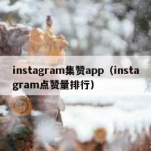 instagram集赞app（instagram点赞量排行）