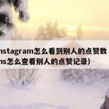 instagram怎么看到别人的点赞数（ins怎么查看别人的点赞记录）