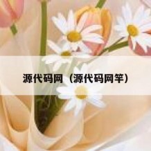 源代码网（源代码网竿）