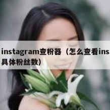 instagram查粉器（怎么查看ins具体粉丝数）