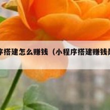 小程序搭建怎么赚钱（小程序搭建赚钱是真的吗）