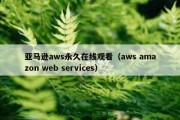 亚马逊aws永久在线观看（aws amazon web services）