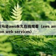 亚马逊aws永久在线观看（aws amazon web services）