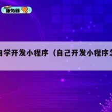 如何自学开发小程序（自己开发小程序怎么赚钱）